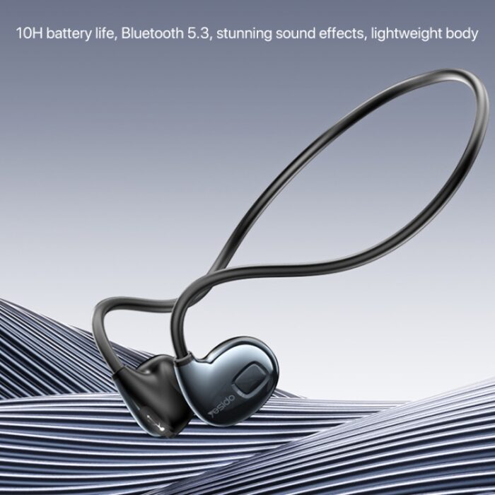 Earphones